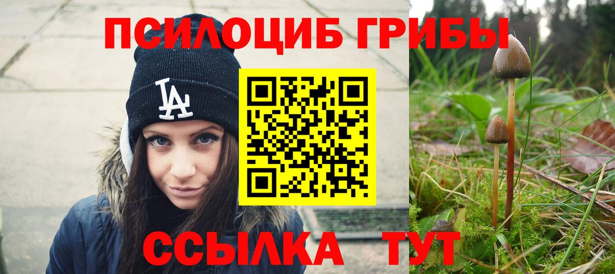 Псилоцибиновые грибы мухоморы  Псилоцибиновые грибы мухоморы  Вход с VPN  Владимир 