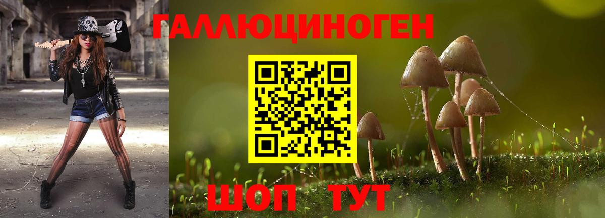 Галлюциногенные грибы MAGIC MUSHROOMS Владимир